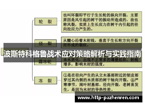 波斯特科格鲁战术应对策略解析与实践指南